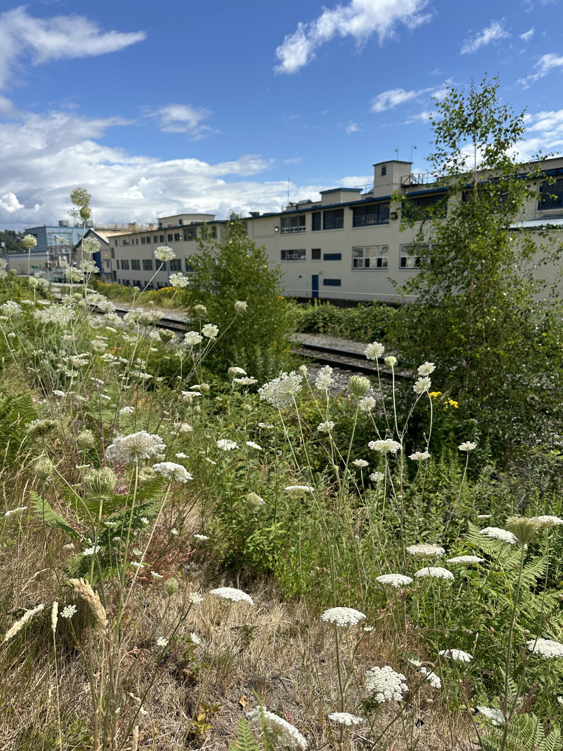 2024-07-25_12-52-43_325