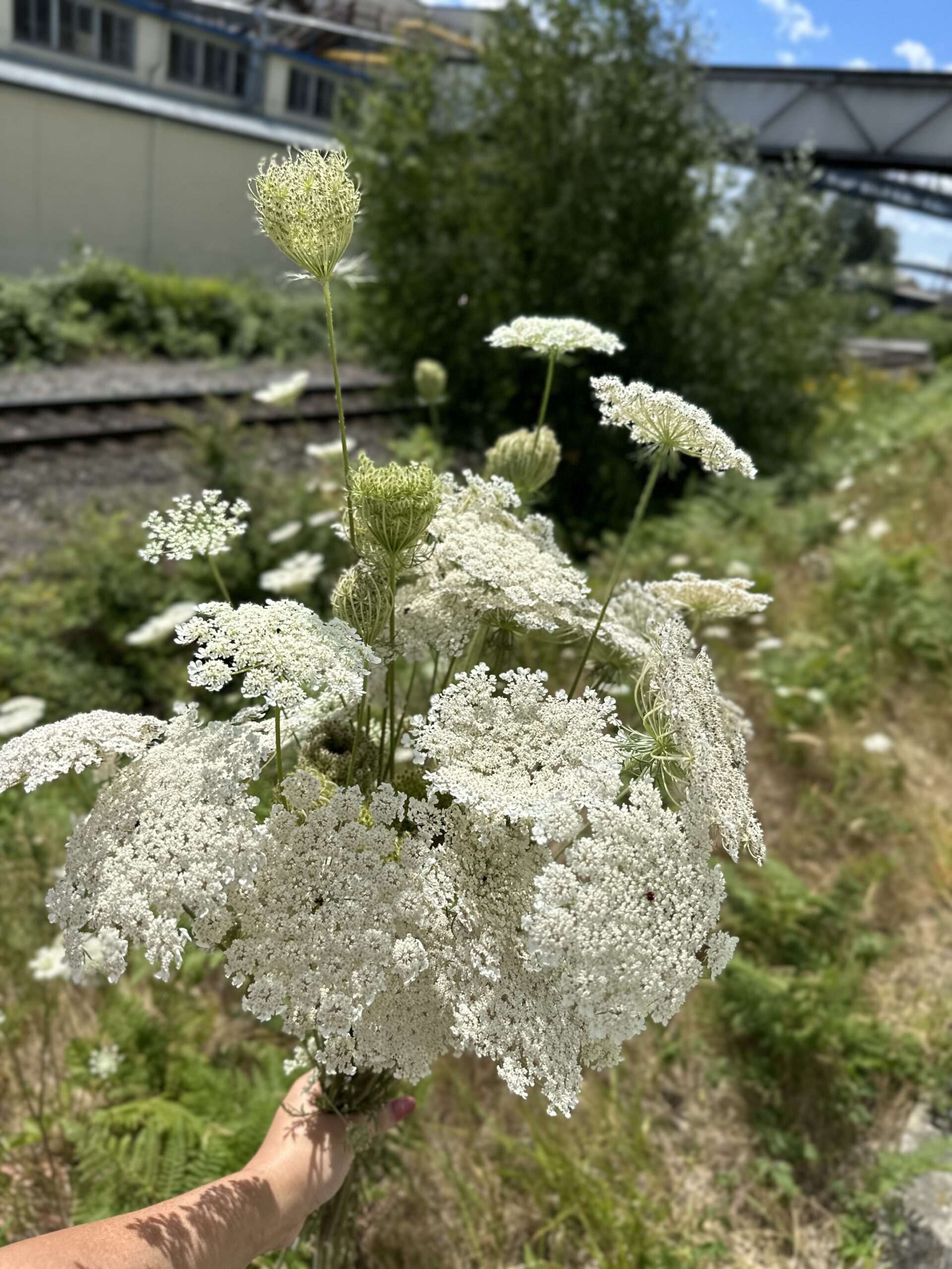 2024-07-25_12-59-35_611