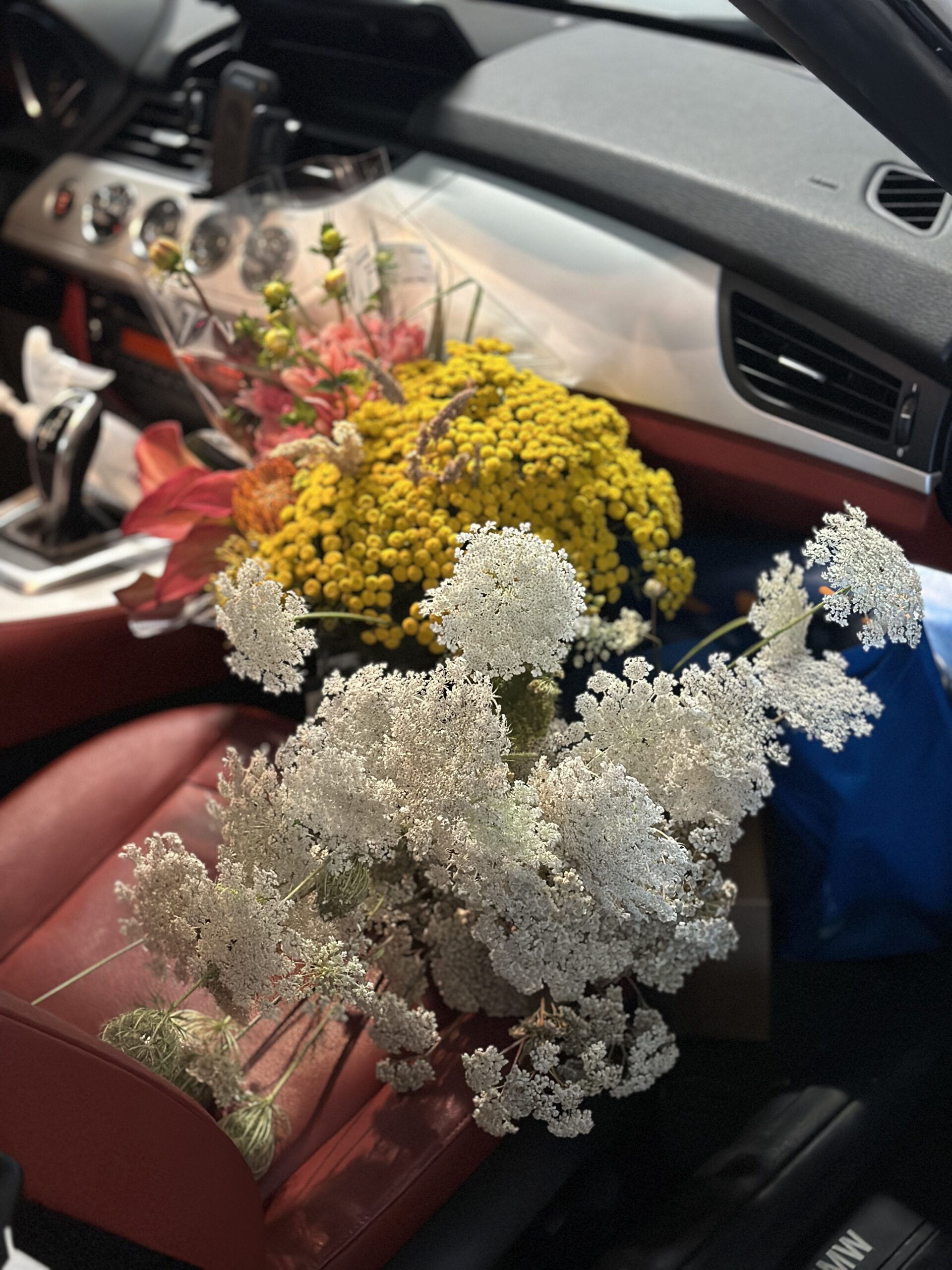 2024-07-25_13-10-52_256