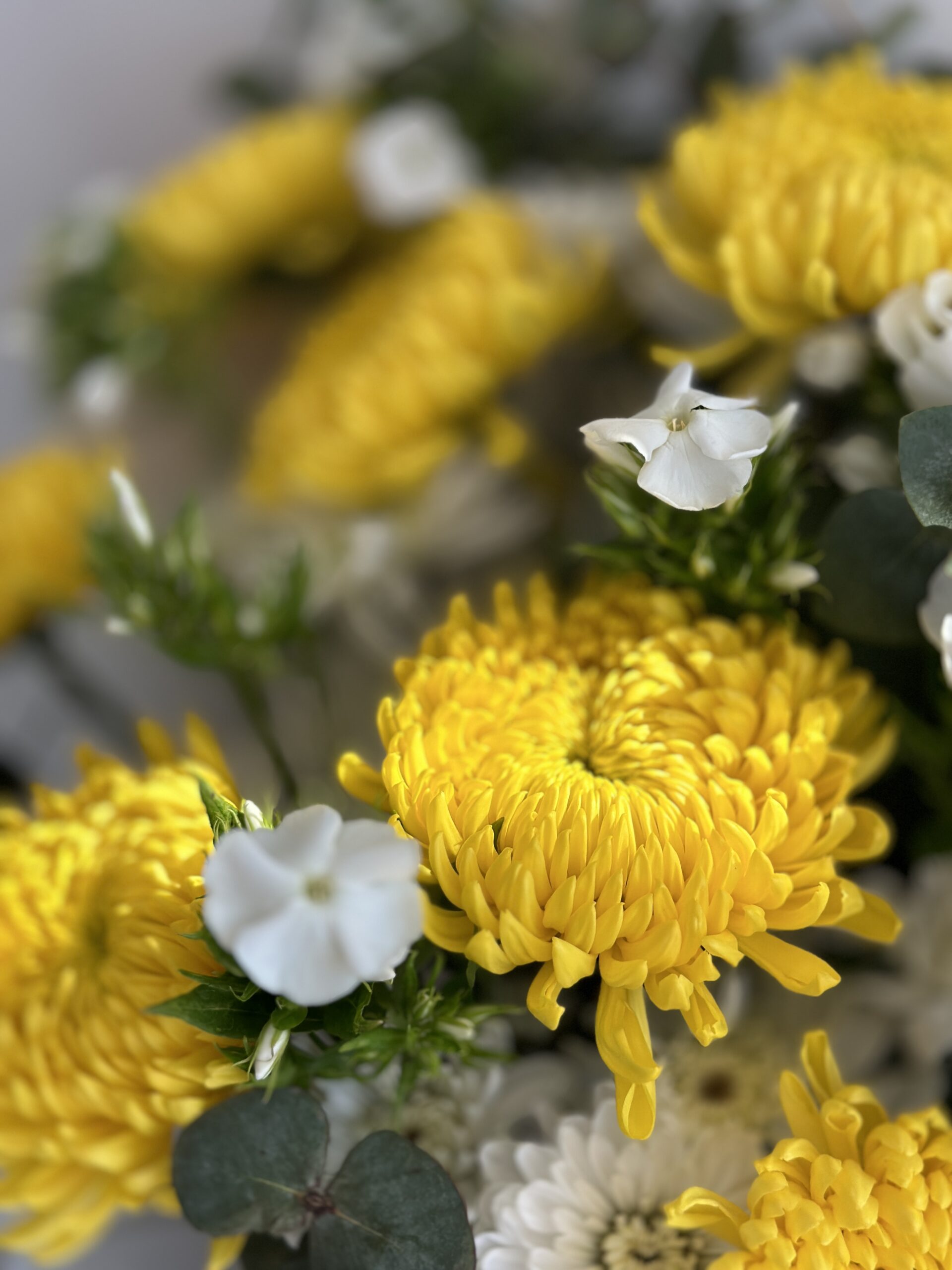 2025-04-16_10-12-48_296